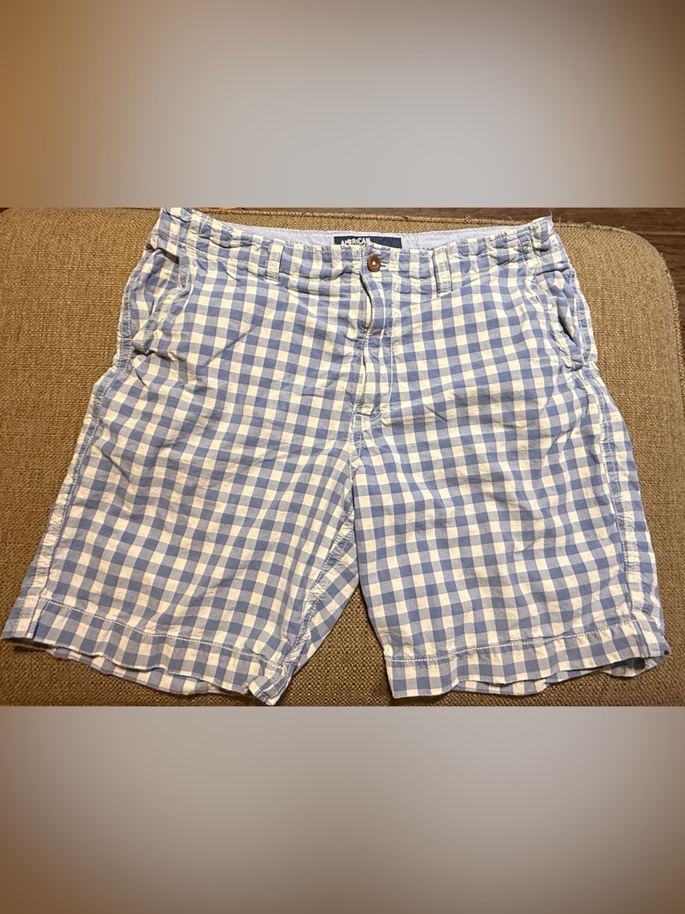 American Eagle Outfitters Light Blue & White Gingham Flat Front Men’s Shorts